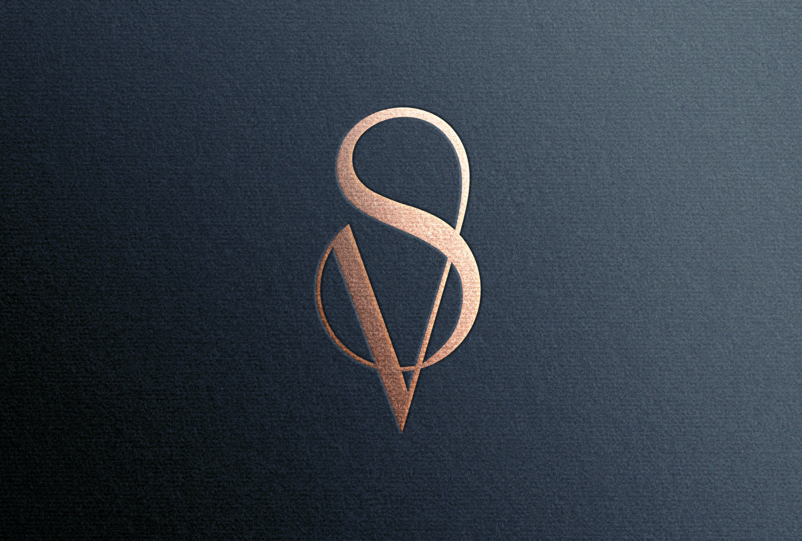 vanessa silva makeup_logo_mockup_v5